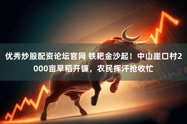 优秀炒股配资论坛官网 铁耙金沙起！中山崖口村2000亩早稻开镰，农民挥汗抢收忙